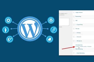 Le Categorie in WordPress