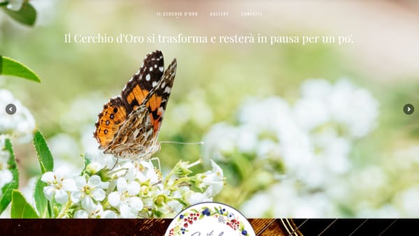 ilcerchiodoro_portfolio